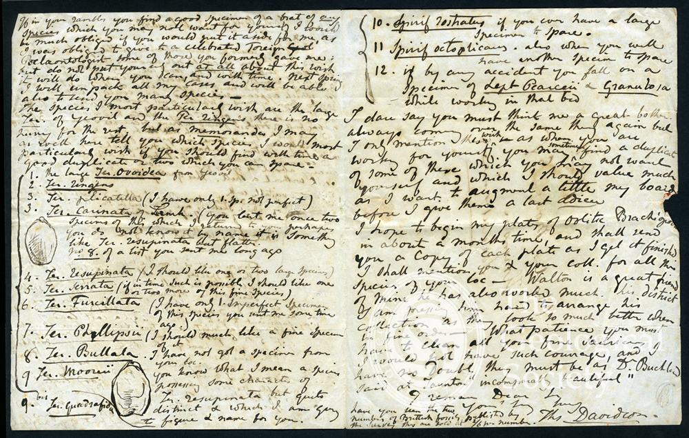 Letter from Thomas Davidson to Charles Moore
