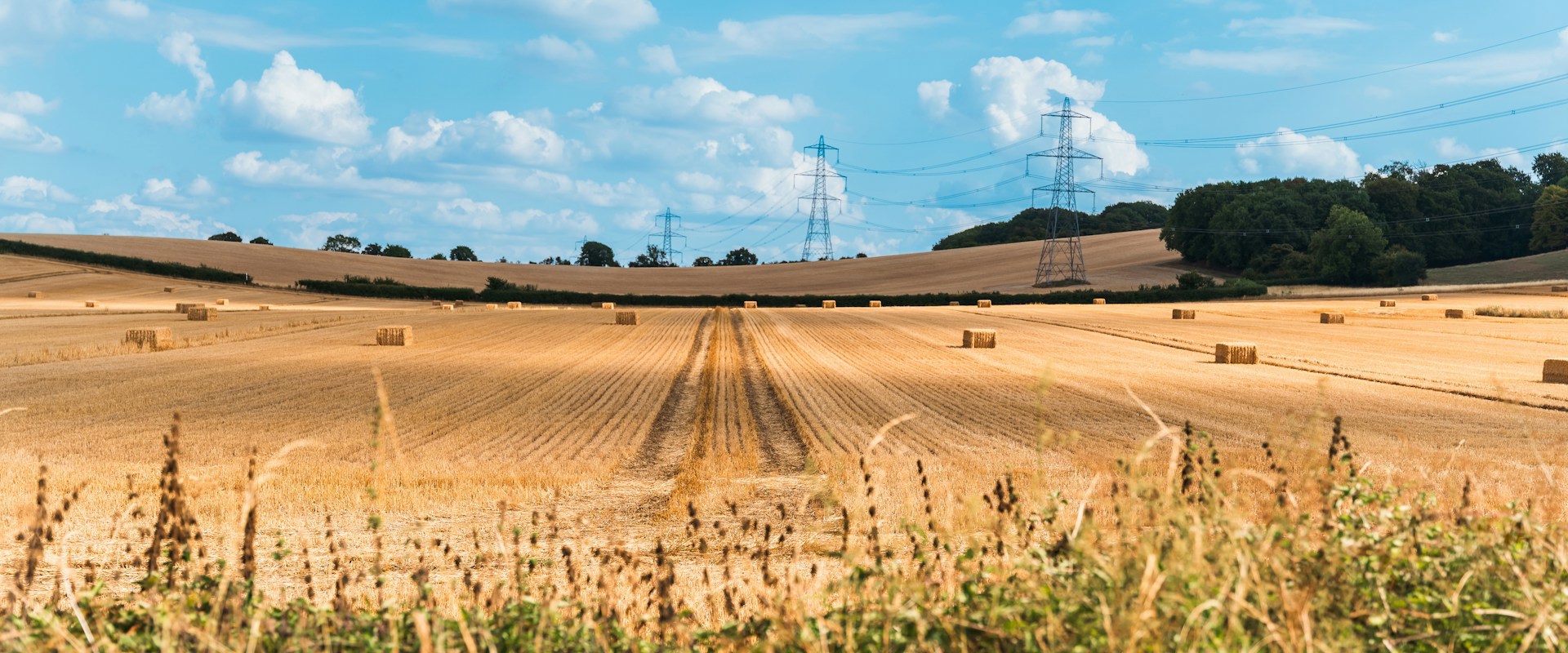 hay fields with hay bales and a blue sky in the distance
