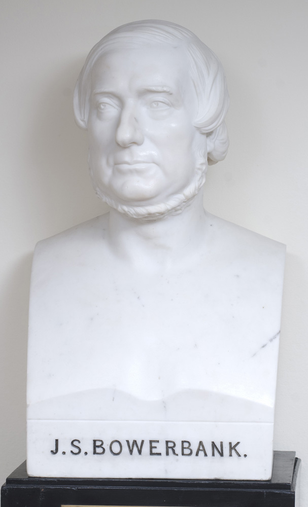 Marble bust of James Scott Bowerbank