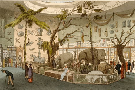 Coloured engraving showing the interior of Bullock's Museum