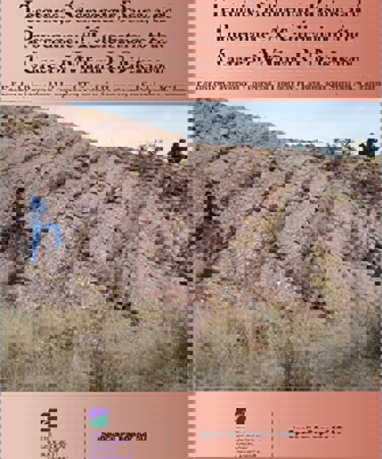 Tectonics Sedimentary Basins And Provenance A Celebration Of The