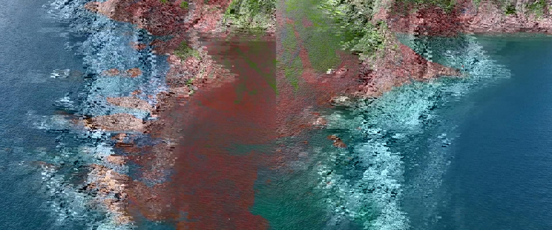 HKRG Excursion To Port Island 8