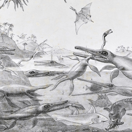 Detail of the print Duria Antiquior