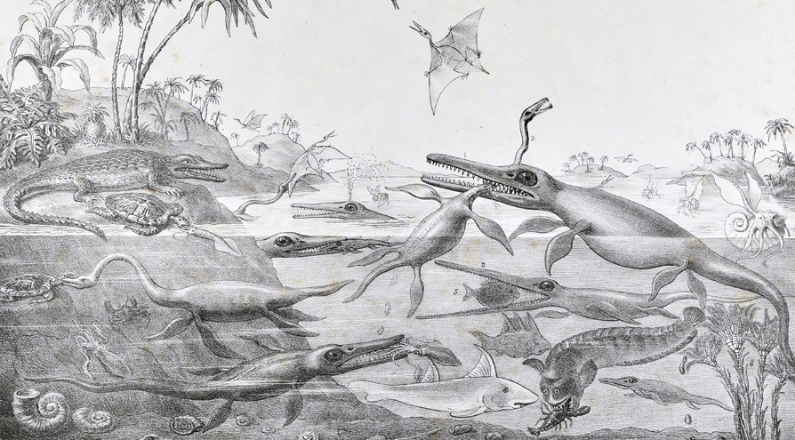 Detail of the print Duria Antiquior