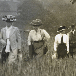 Leith Hill thumb.jpg