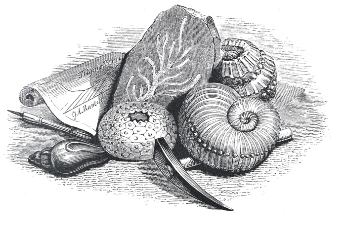 Mantell Frontispiece.jpg