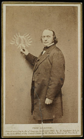 Carte de visite of portrait of Louis Agassiz