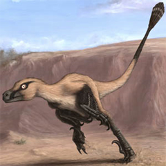 Reconstruction of Linheraptor by Matt van Rooijen