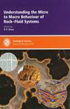 Understanding the Micro-to-Macro Behaviour of Rock-Fluid Systems