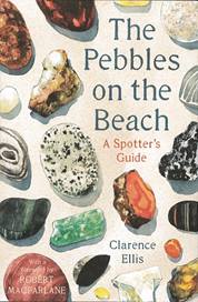 The Pebbles on the Beach