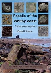 Fossils of the Whitby Coast