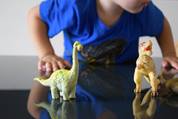 young child playing with plastic dinosaur toys