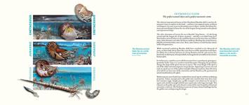Nautilus sample page 1